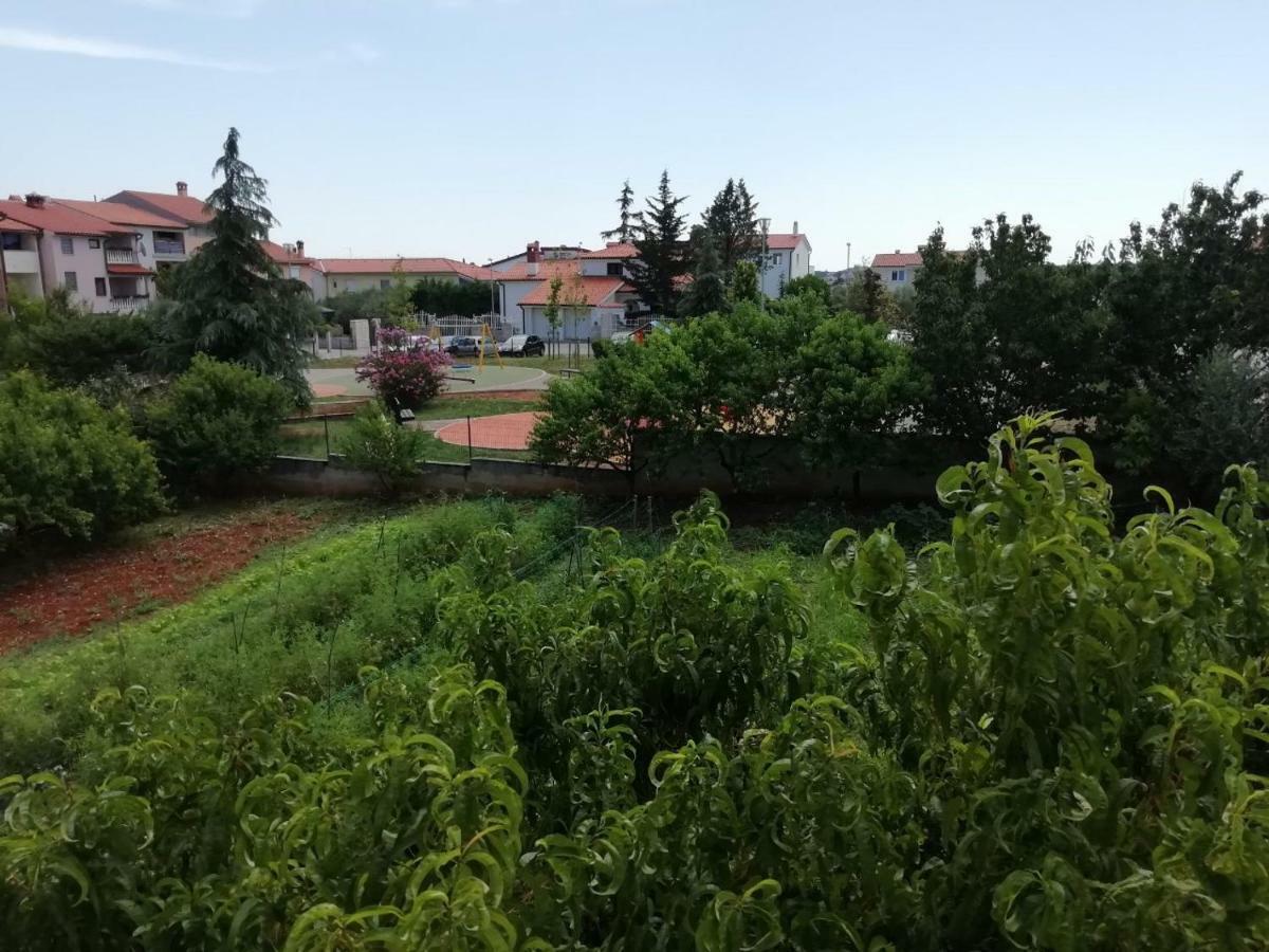 Apartment Casablanca Póla Kültér fotó